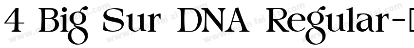 4 Big Sur DNA Regular字体转换